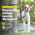 PetSafe Gentle Leader Headcollar No-Pull Dog Collar - Image 2
