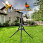 Adjustable Bird Perch Stand, 16-62 Inch Height Adjustable Bird Training Perch - Image 4