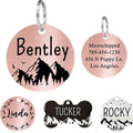 Ultra Joys Stainless Steel Dog ID Tag, Personalized Front and Back Engraving by UltraJoys