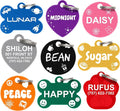 Dr. Fremont's Pet ID Tag Custom by DrFremonts