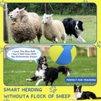 Herding Ball for Dogs and Horses - Image 3