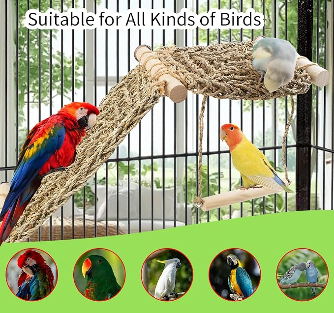 FlidRunest Bird Perch Platform Swing - Image 4