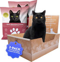 Kitty Poo Club Leakproof Disposable 2-Pack Cat Litter Box by KittyPooClub