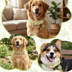 St. Patrick's Day Dog Collar, Light Green Puppy Collar - Image 5