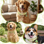 St. Patrick's Day Dog Collar, Light Green Puppy Collar - Image 5