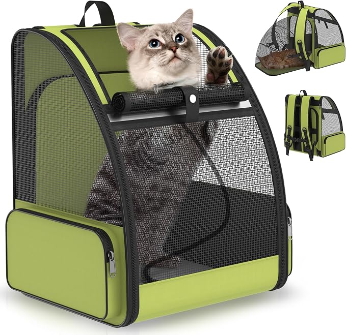 Cat Backpack Carrier for Travel Hiking: Expandable Foldable Breathable Mesh by ipetstation