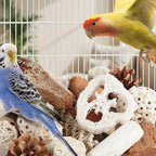 Kyouki Bird Toys Parrot Toys Natural Bird Foraging Box Foot - Image 5