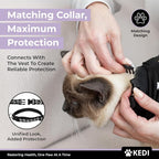 Cat Surgery Recovery Suit Female Cat Onesie - Image 4