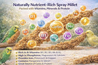 1lb Millet Tips & Tails for Birds - Image 5