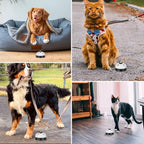 Pet Training Bells, 2 Pack Dogs Bell - Image 5