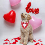 ADOGGYGO Valentine Dog Tuxedo Bandana - Image 3