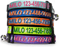 Pawtitas Personalized Orange Reflective Cat Collar – Adjustable Custom Collar by Pawtitas