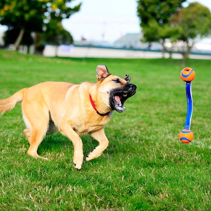 Chuckit! Ultra Duo Tug Dog Toy, Small Indoor and Outdoor Dog Ball - Image 9