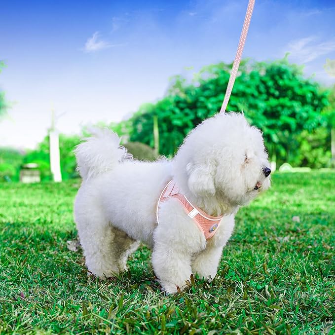 Hipubby Dog Harness and Leash Set, No Pull Soft Mesh Puppy Harness - Image 2