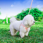 Hipubby Dog Harness and Leash Set, No Pull Soft Mesh Puppy Harness - Image 2