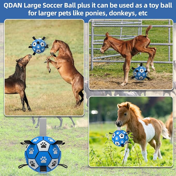 QDAN Extra Large Dog Toys Soccer Ball - Image 5