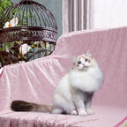 Stuffed Premium Soft Dog Blanket, - Image 8