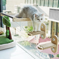 PETKARAY Cat Window Perch, Foldable Cat Hammock by PETKARAY