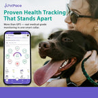 V3.0 Dog Health Monitor – AI Health Collar - Image 7