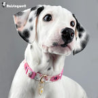 Cotton Dogs Collar Light Pink Flower Patterns - Image 5