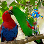 3 Pcs Extra Large Bird Parrot Toy Multicolored Natural Wooden Parrot Cage - Image 4