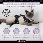 Cat Surgery Recovery Suit Female Cat Onesie - Image 8