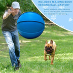 Herding Ball for Dogs, Dual Layered Herding Dog Ball Set for Australian Shepherd - Image 3