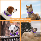 2 Pack Reflective Dog Collar - Image 5