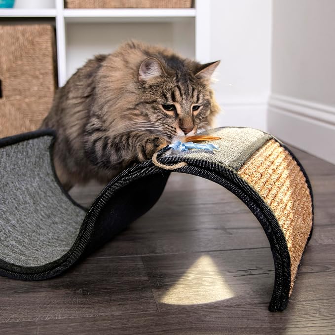 Petlinks Dream Curl Carpet Cat Scratcher, Dual-Surface Cat Scratching Post - Image 8