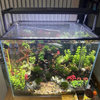 Magnetic Aquarium Anti-Jumping net Cover mesh to Protect Fish Jumping Out of - Image 7