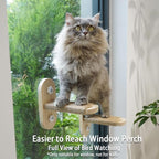 PETKARAY Cat Window Shelf, Original Cat Window Perch Stairs, Durable Kitty Seat - Image 6