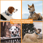2 Pack Reflective Dog Collar - Image 5