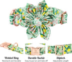 Lionheart Glory Cute Lemon Floral Pattern Adjustable Dog Collar - Image 3