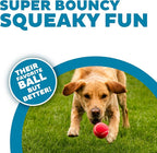 Outward Hound Squeaker Ballz – Squeaky Tennis Balls - Image 2