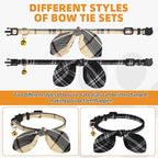 KOOLTAIL Cat Collar Breakaway - Image 5