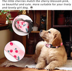 QQPETS Adjustable Soft Dog Collar: Print Flower Pink Multicolor Cute Patterns - Image 2