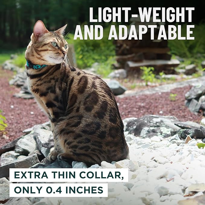 OutdoorBengal Blue Breakaway Kitten Collar - Image 6