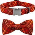 Fall Dog Collar, Pet Collar Bow Plaid Pet Collars Girl Boy Holiday Pet Collars by BoboRainbow