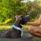 Unique Style Paws Metal Buckle Banana Leaves Dog Collar, Durable & Cute - Image 3