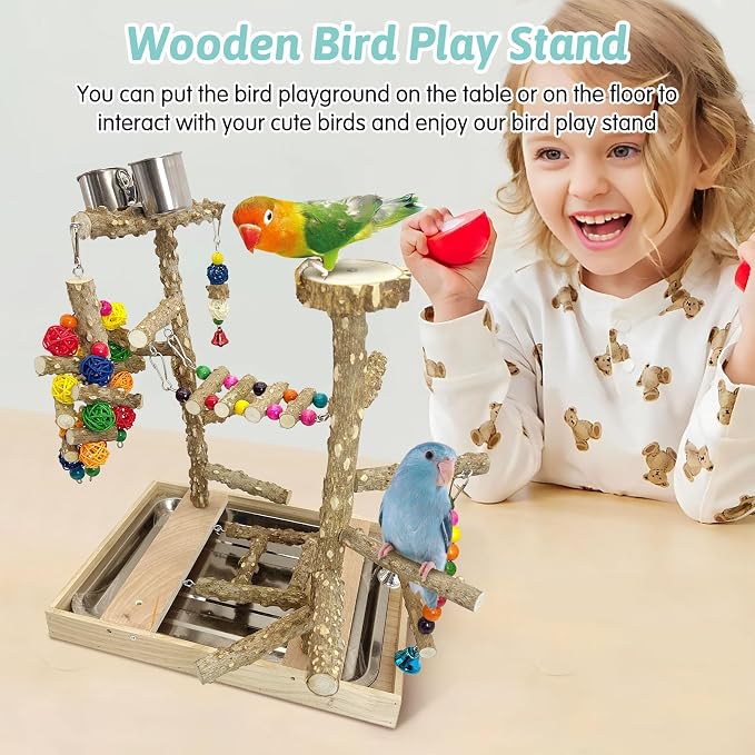 PINVNBY Bird Playground Natural Wood Parrot Perch Stand Bird Play Gym Colorful - Image 7