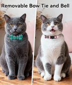 Joytale Upgraded Cat Collar - Image 2