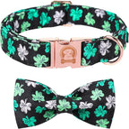 MR. CHUBBYFACE St.Patrick's Clover Dog Collar by MrChubbyfacePetSupplies