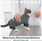PUMYPOREITY Cat Shirt with Rear Snap Closure, Stretchable Cat Sweater, Comfort - Image 5