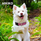 Hikiko Martingale Dog Collars Reflective Nylon Dog Collar - Image 4