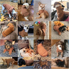Jecikelon Winter Dog Hoodie Sweatshirts - Image 4