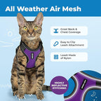 Voyager Escape-Proof Step-in Lock Cat Harness & 5ft Neoprene-Handle Leash Set - Image 3