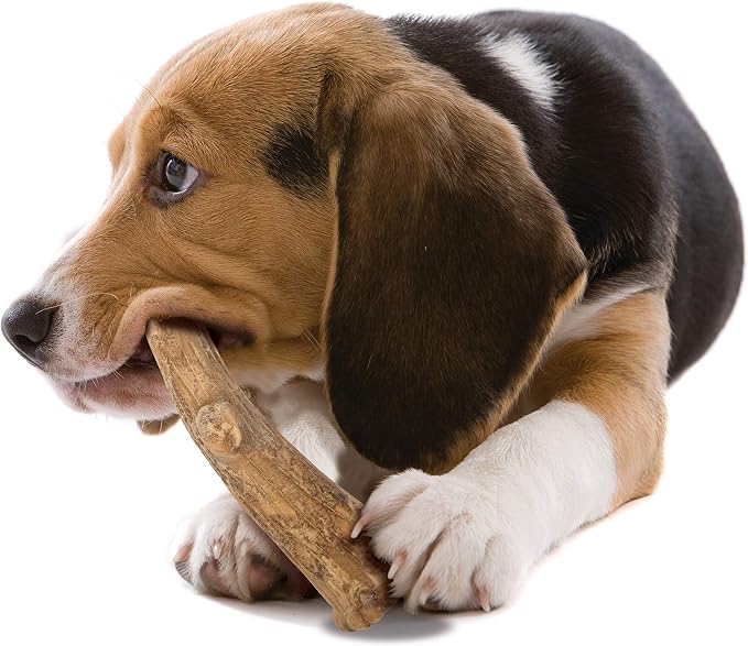 Nylabone Healthy Edibles WILD Natural Dog Chew Treats - Image 11