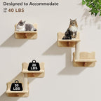 9-in-1 Cat Wall Shelves, Wall Mounted Cats Furniture Set - Image 3
