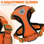 PUPTECK Cat Harness and Leash Set Escape Proof Reflective Cat Walking Harness - Image 5