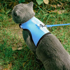 PUPTECK Soft Mesh Cat Vest Harness and Leash Set Puppy Padded Pet Harnesses - Image 6